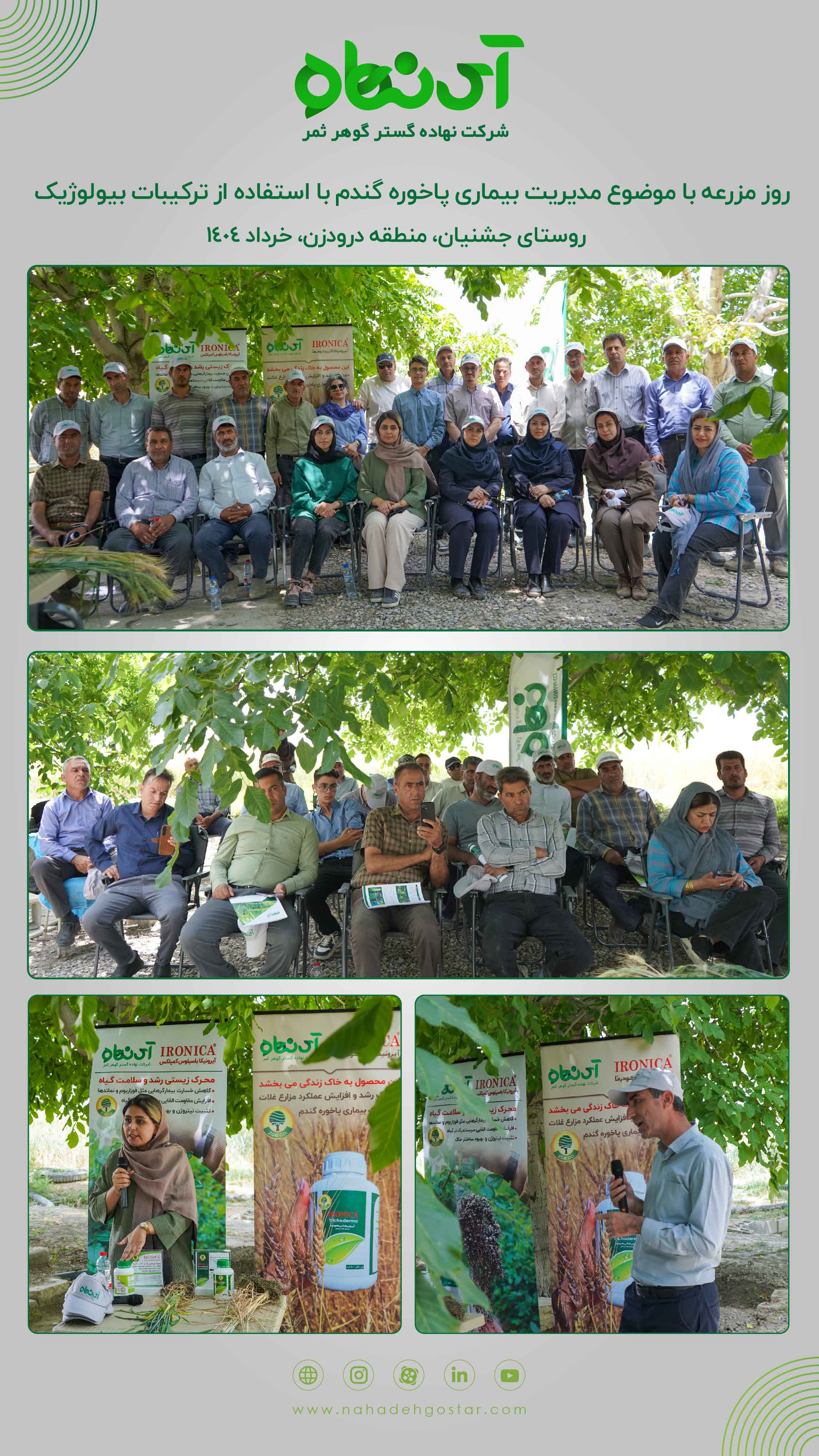 روز مزرعه روستای جشنیان، منطقه درودزن، خرداد 1404